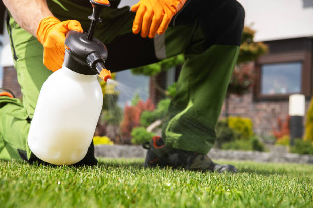 Best Best Pest Control Companies  in Shoreacres, TX