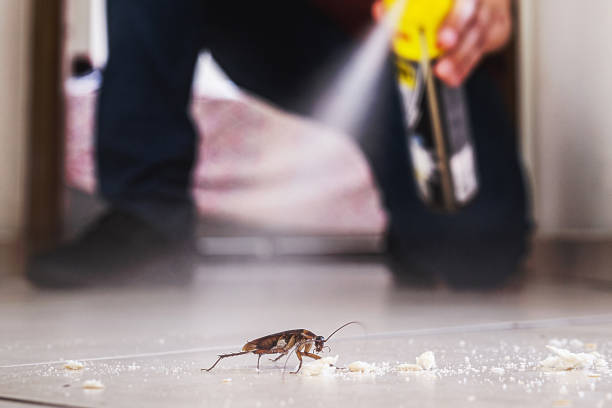 Best Pest Prevention Services  in Shoreacres, TX